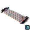 jumper 2 Jumper Wires Male-to-Male 20 cm(40 pcs, Dupont)