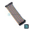 Jumper Wires Male-to-Female 20cm (40 pcs, Dupont)
